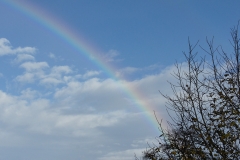 wp-001-Adventsstimmung-2017-91