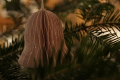 wp-001-Adventsstimmung-2017-98