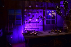 wp_001_Adventsstimmung Mooshof_2019_34