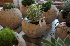 wp_001_Adventsstimmung Mooshof_2019_52